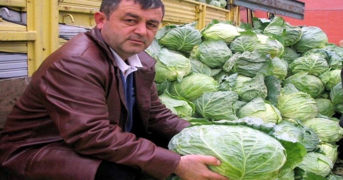 Küresel Isınma Kışlık Ürünü Vurdu Küresel Isınma, Bafra Ovası'ndaki Kışlık Sebze Ürünlerinde Erken Hasada Yol Açtı Erken Olgunlaşan Ürünler, 2. Ay Yerine 12. Ayda Hasat Edilince Piyasanın Arz-talep Dengesi Bozuldu