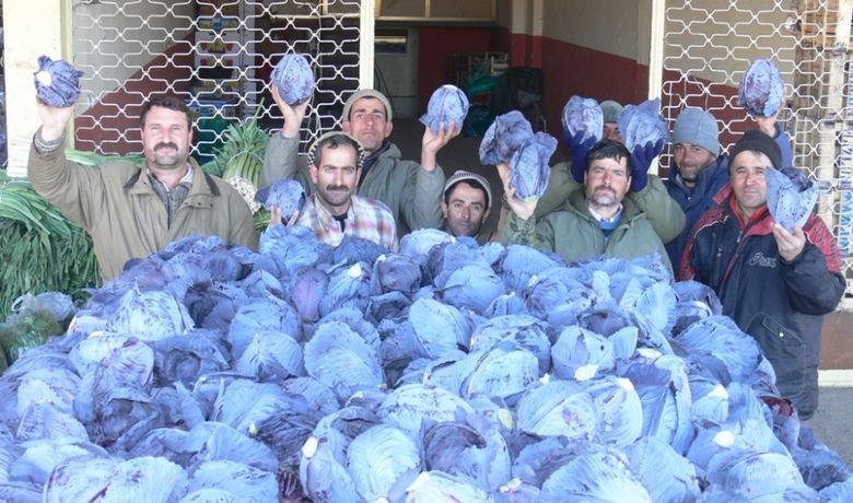 Bafra Ovası’nda Kırmızı Lahana Üretimi Bafra Ovası’nda 2007 Yılında20 Bin 500 Dekar Alanda Kırmızı Lahana Üretimi Yapıldığı Bildirildi - Samsun'un Bafra Ovası’nda 2007 yılında 20 bin 500 dekar alanda kırmızı lahana üretimi yapıldığı belirtildi.