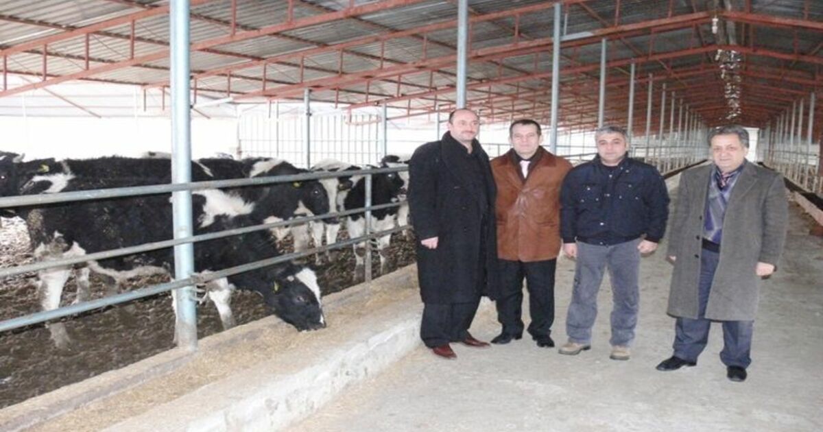 Hayvancılığın Gelişmesi İçin Teşvik İsteği