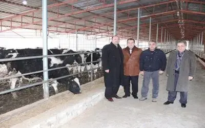 Hayvancılığın Gelişmesi İçin Teşvik İsteği