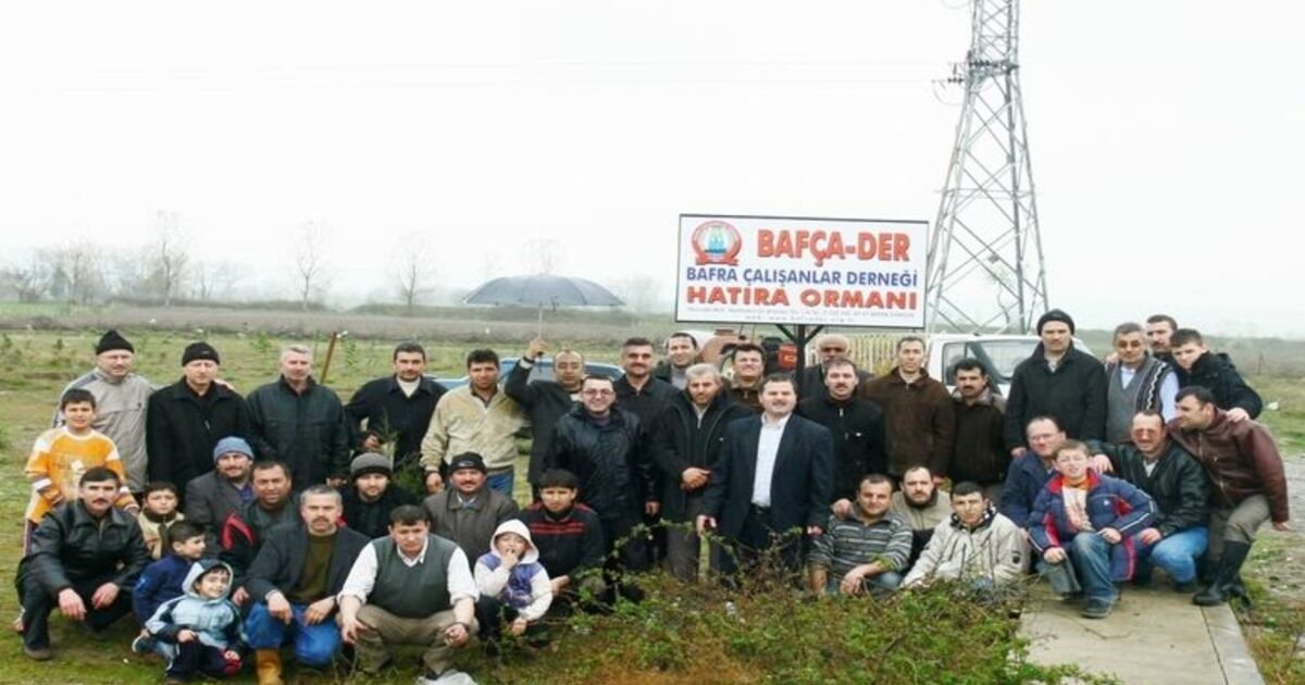 Çalışanlar Fidan Dikti