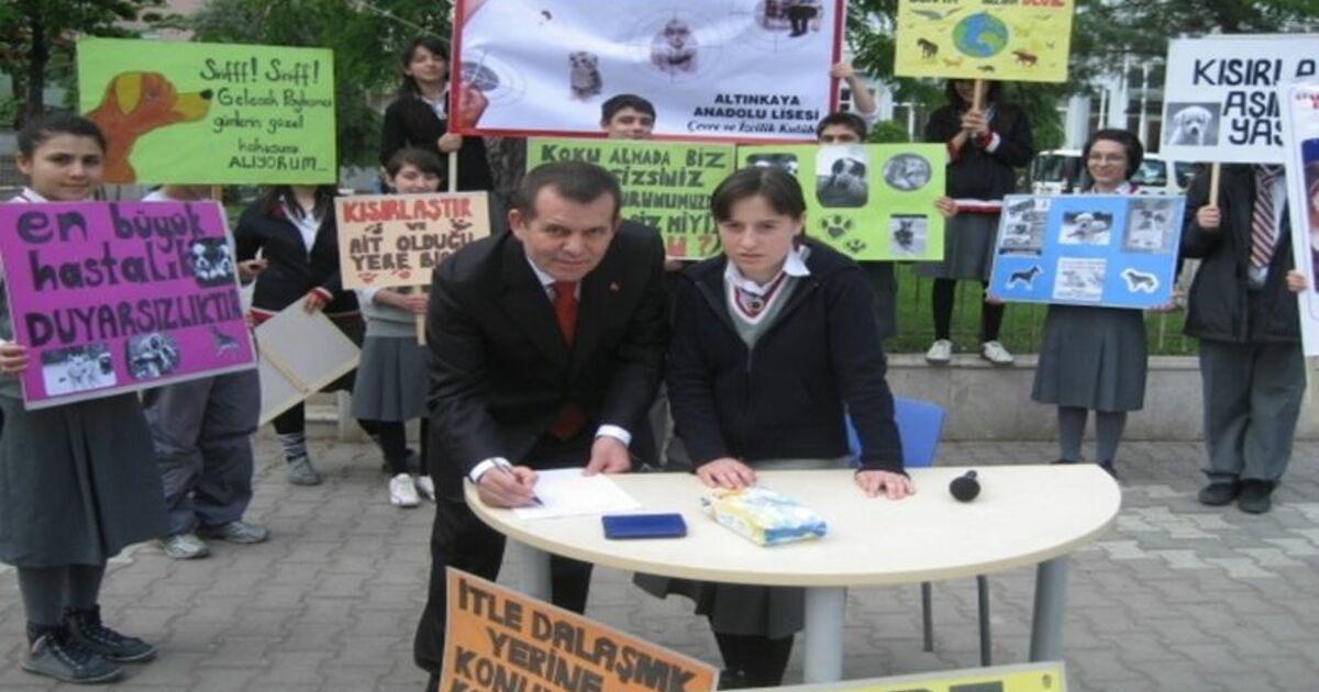 Öğrencilerden Sokak Köpekleri İçin İmza Kampanyası