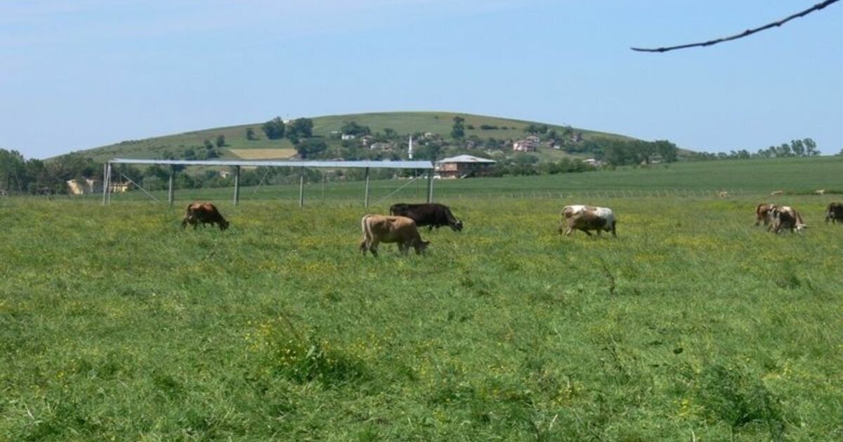Sürmeli Köyü 1. Mera Bahar Şenliği