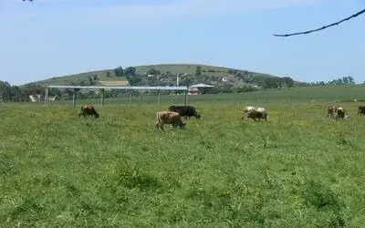 Sürmeli Köyü 1. Mera Bahar Şenliği