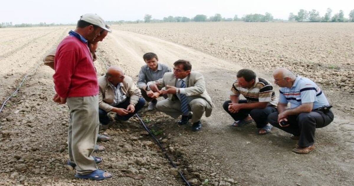 İtalyanlardan Bafra Ovası'na İnceleme İtalyan Vivai Mazzoni Fide Firması Ve İmc Kontrol Sertifikasyon Firması, Bafra Ovası'nda Tarım Alanlarında İncelemelerde Bulundu
