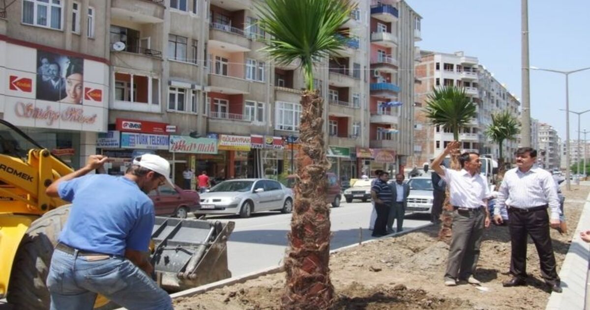 Bafra'da Bulvar Çalışmaları