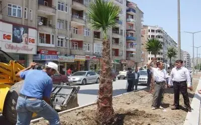 Bafra'da Bulvar Çalışmaları