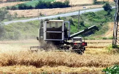 Bafra Ovası'nda Hububat Hasadı Erken Başladı Samsun'un Bafra Ovası'nda 22 Bin Hektar Alanda Ekimi Yapılan Buğdayın Hasadına 1 Hafta Erken Başlandı