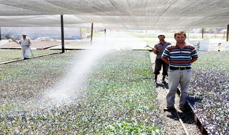 Bafra Ovası'nda Fide Üretim Tesisi - Samsun'un Bafra ilçesinde yazlık ve kışlık sebze üretiminin verimini artırmak amacıyla fide üretim tesisi kuruldu.
