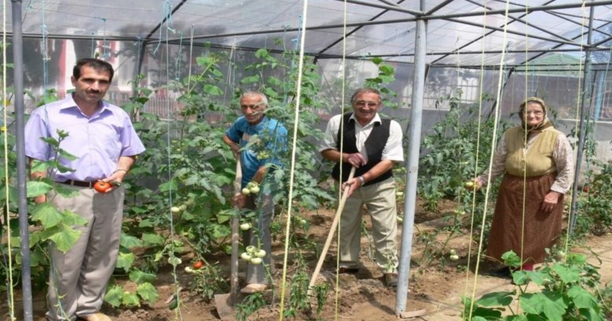 Huzurevi Sakinleri Üretici Oldu