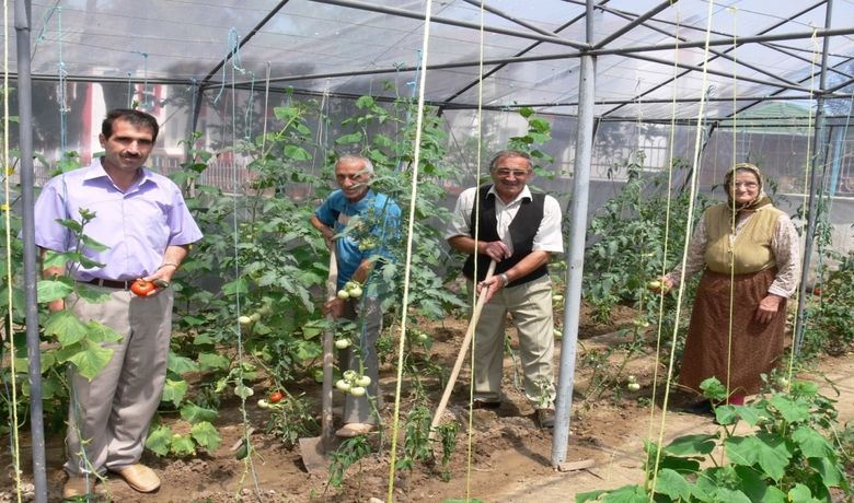 Huzurevi Sakinleri Üretici Oldu - Samsun'un Bafra 75. Yıl Huzurevi'nde kalan yaşlılar, 'sosyal aktiviteler' kapsamında sebze üreterek, huzurevi mutfağına katkı sağlıyor.