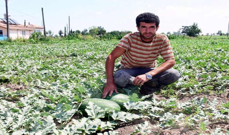 Bafra Karpuzu Pazara İndi Samsun'un Bafra İlçesinde Bu Sezon EkilenKarpuzun Satışına, Bafra Belediyesi Sebze Meyve Hali Ve Semt Pazarlarında Başlandı - Samsun'un Bafra ilçesinde bu sezon ekilen karpuzun satışına, Bafra Belediyesi Sebze Meyve Hali ve semt pazarlarında başlandı.