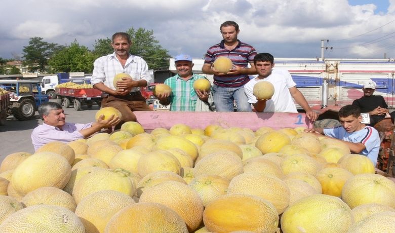 Bafra Kavunu Pazara İndi Bafra Ovası'nda Yetiştirilen YerliKavun, Kilosu 30 İla 40 Ykr'den Satışa Sunuldu - Samsun'un Bafra Ovası'nda yetiştirilen yerli kavunlar pazara indi.