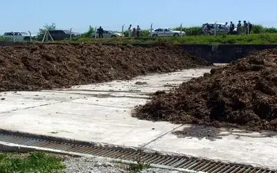 Hayvansalkirlilik Gübre Olacak Samsun'da, "Karadeniz'de Tarımsal Kirliliğin Kontrolü' Kapsamında Hayvansal Kirlilik Depolama Çalışmasıyla Gübre Olacak