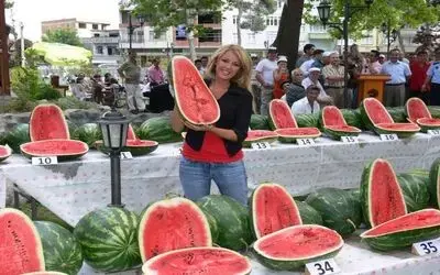 Petek Dinçöz Bafra Karpuzlarına Hayran Kaldı Samsun'un İlçesinde Kan Ve Karpuz Yarışmasına Katılan Sanatçı Petek Dinçöz, Bafra Karpuzlarına Kayran Kaldı