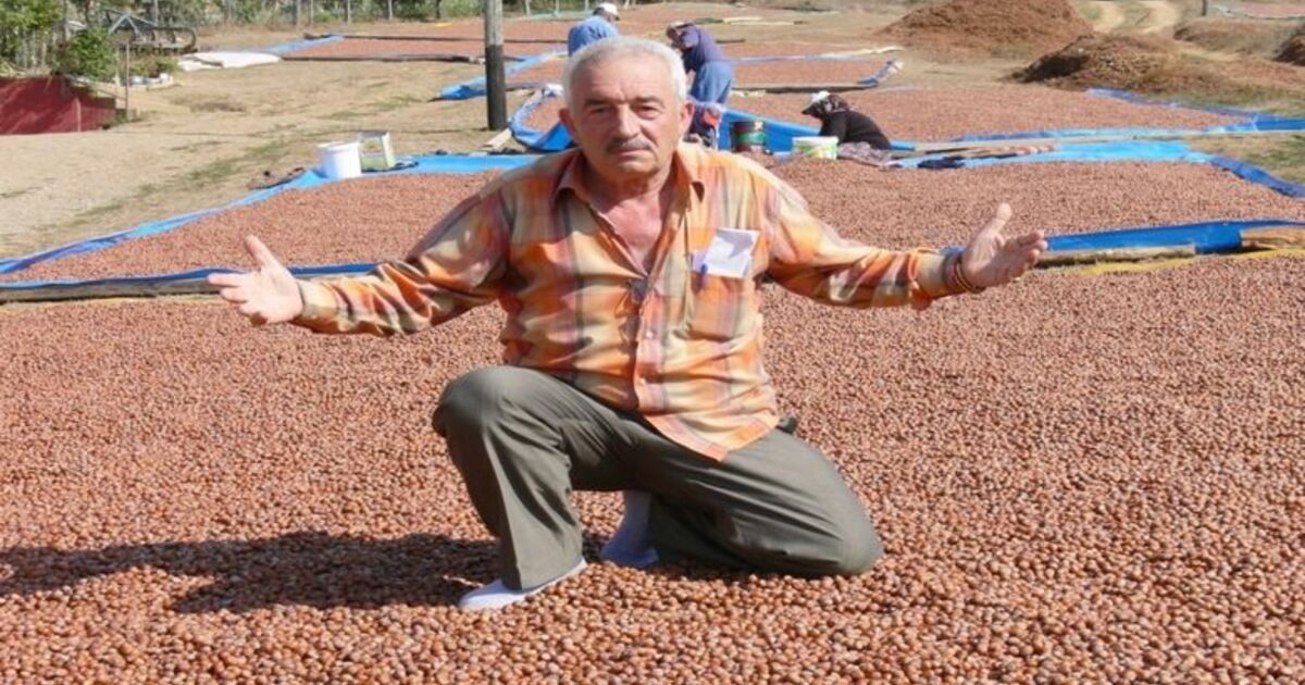 Fındık Üreticisinde Hayal Kırıklığı