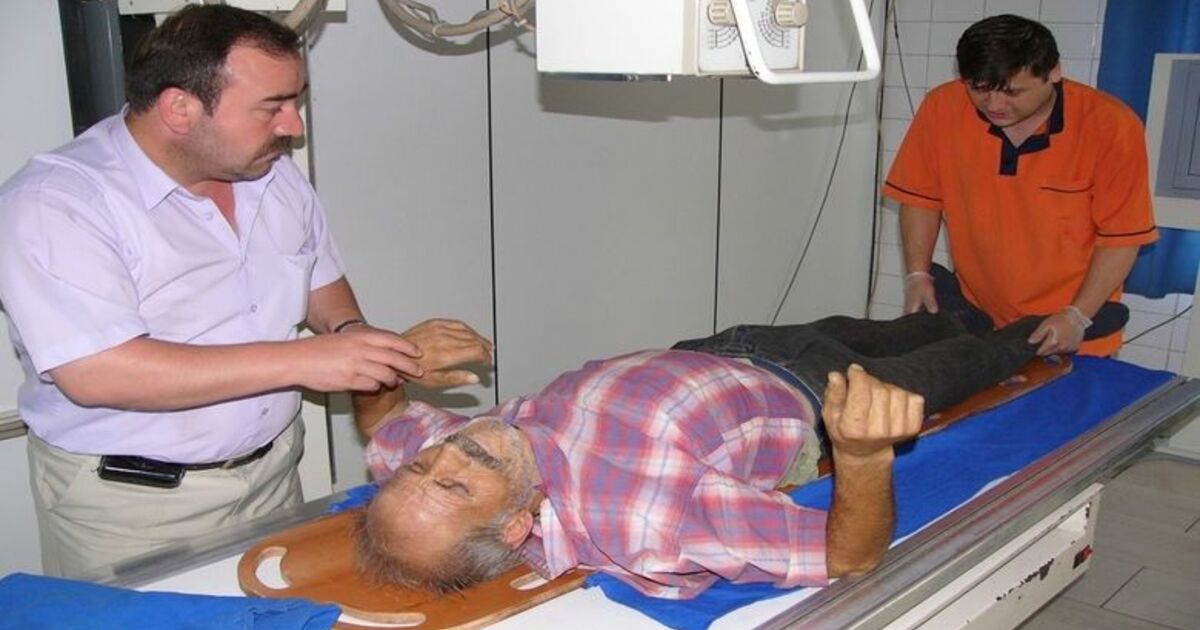 Üzerine Ağaç Dalı Düşen İşçi Ağır Yaralandı