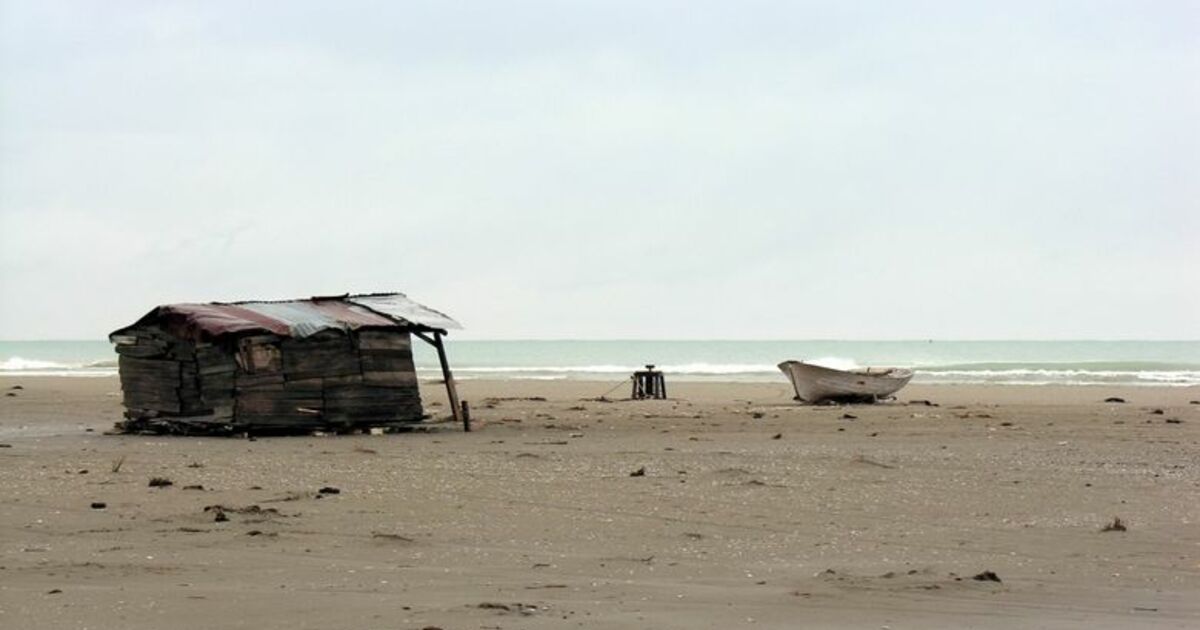 Karadeniz Kumsalları Kurtarılacak Fırtına İle Türkiye'nin Nadide Kumlarının Yok Olduğu Karadeniz Sahillerinde Ağaçlandırma Yapılarak, Rüzgarla Birlikte Yok Olan Sahil Kumu Kayıpları Durdurulacak