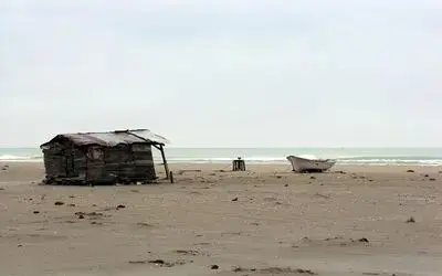 Karadeniz Kumsalları Kurtarılacak Fırtına İle Türkiye'nin Nadide Kumlarının Yok Olduğu Karadeniz Sahillerinde Ağaçlandırma Yapılarak, Rüzgarla Birlikte Yok Olan Sahil Kumu Kayıpları Durdurulacak