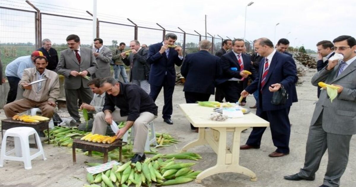 Çetinkaya Beldesinde Mısır Şenliği
