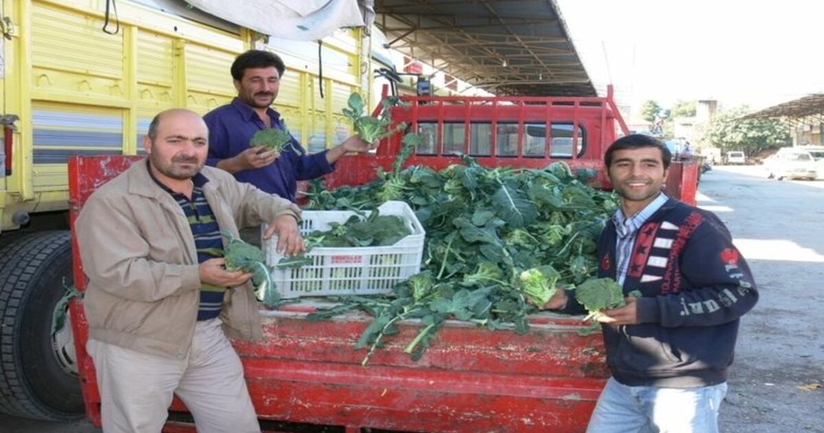 Brokoli Yüz Güldürdü