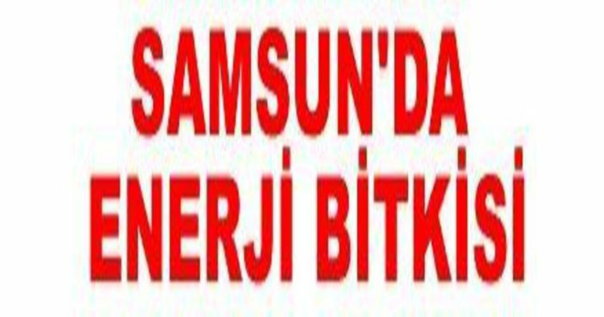 Samsun Enerji Bitkisi Merkezi Olacak