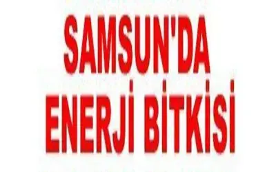 Samsun Enerji Bitkisi Merkezi Olacak