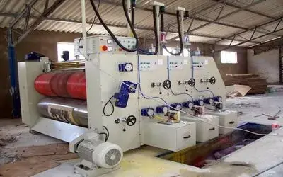 Sebze Paketlemesine Makine Desteği