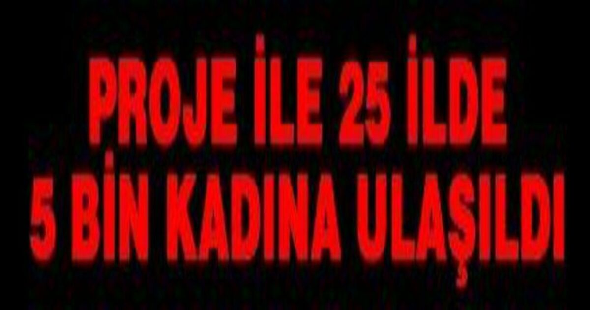 Kadın Girişimciliğini Destkleme Projesi