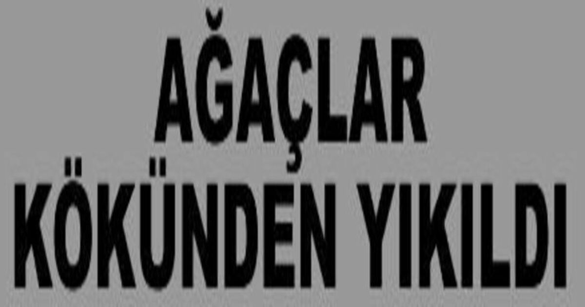 Bafra`da Şiddetli Fırtına