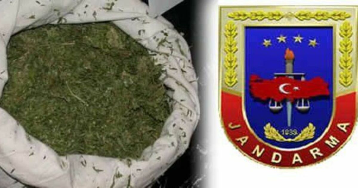 Bafra`da 27 Kilo Esrar Ele Geçti