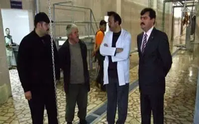 Bafra Mezbahası Kurban Bayramında Hazır
