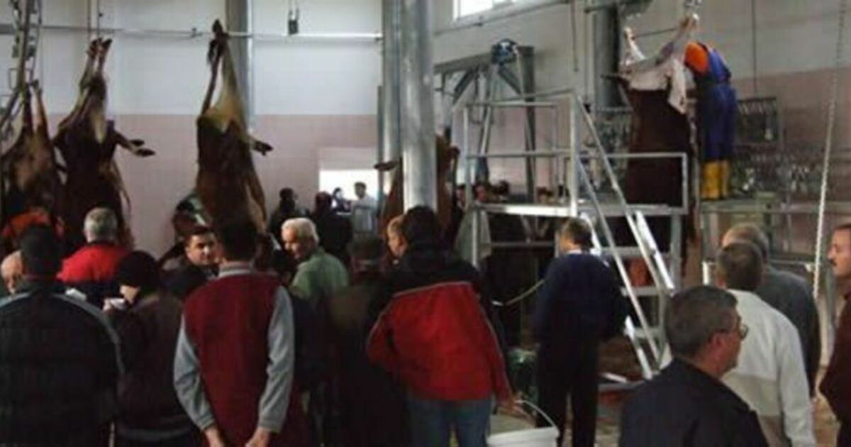 Bafralı Yeni Mezbahaya Hayran Kaldı