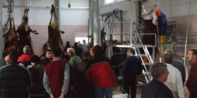 Bafralı Yeni Mezbahaya Hayran Kaldı - Bafra belediyesince İlçeye kazandırılan yeni mezbahada ilk kesimler yapıldı.