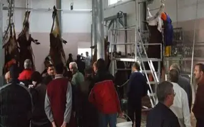 Bafralı Yeni Mezbahaya Hayran Kaldı