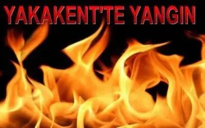 7 Aylık Bebek Yangında Öldü