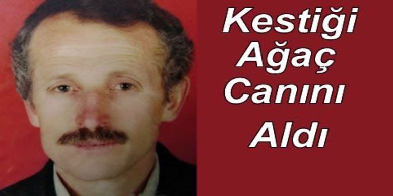 Kestiği Ağaç Ölümüne Sebep Oldu - Samsun`un Tekkeköy ilçesinde kestiği ağacın üzerine devrilmesi sonucu ağır yaralanan şahıs, kaldırıldığı hastanede hayatını kaybetti.