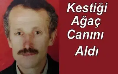 Kestiği Ağaç Ölümüne Sebep Oldu