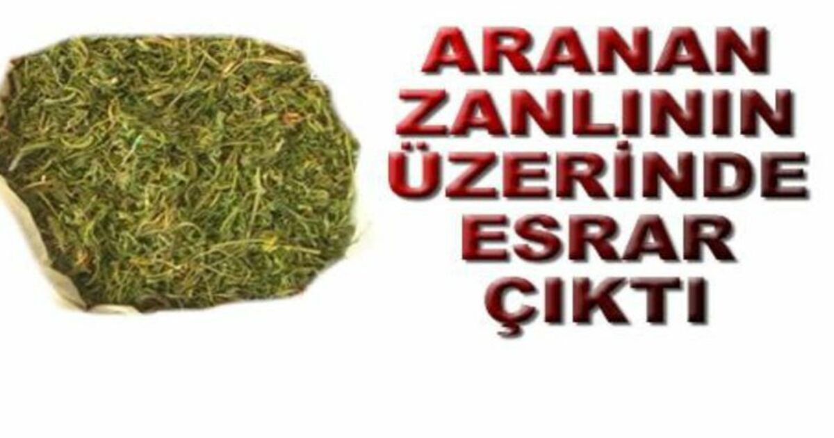 Bafra`da Esrar Yakalandı
