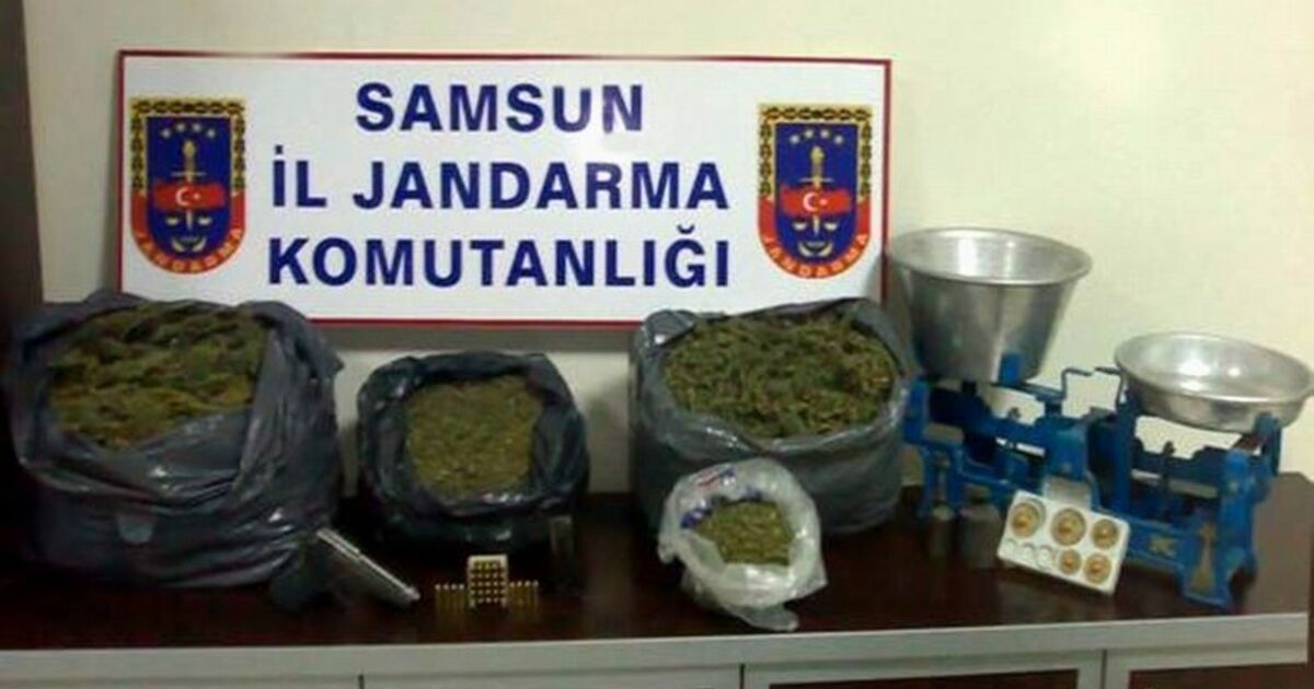 Samsun'da 16 Kilo Esrar Ele Geçirildi Jandarmanın Düzenlediği Uyuşturucu Operasyonunda 2 Kişi Gözaltına Alındı
