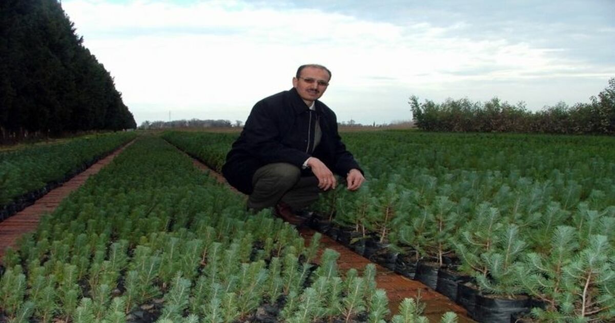 Samsun'dan 7.2 Milyon Fidan Türkiye'nin Yeşermesine Samsun 7 Milyon 200 Bin Fidanla Katkı Sağladı