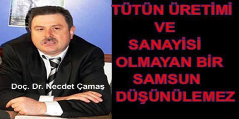 Tütün Samsun İçin Sağlık Nefesi - Ondokuz Mayıs Üniversitesi (OMÜ) Bafra Meslek Yüksekokulu Öğretim Üyesi Doç. Dr. Necdet Çamaş, ``Tütün üretimi ve sanayisi olmayan bir Samsun düşünülemez`` dedi.