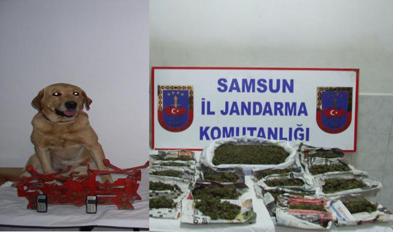 Jandarmadan Uyuşturucu Operasyonu: 10 Gözaltı - Samsun'da jandarmanın zehir tacirlerine yönelik düzenlediği operasyonda 10 kişi gözaltına alındı.