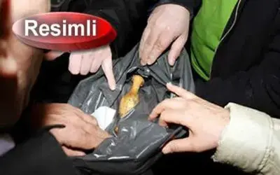 Kazı Esnasında Hazine Bulundu