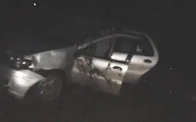 Otomobilin Camına Çarpan Kuş Trafik Kazasına Neden Oldu