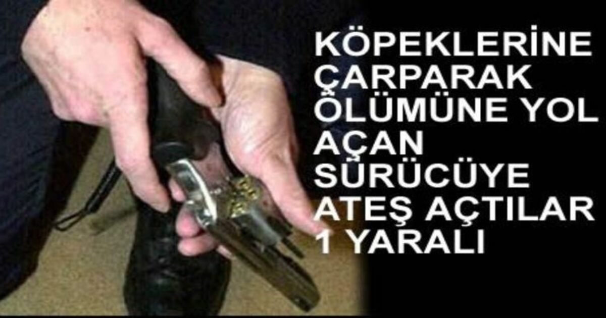 Köpeğine Çarpan Sürücüye Ateş Açtılar