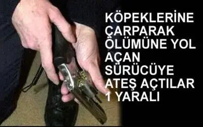 Köpeğine Çarpan Sürücüye Ateş Açtılar
