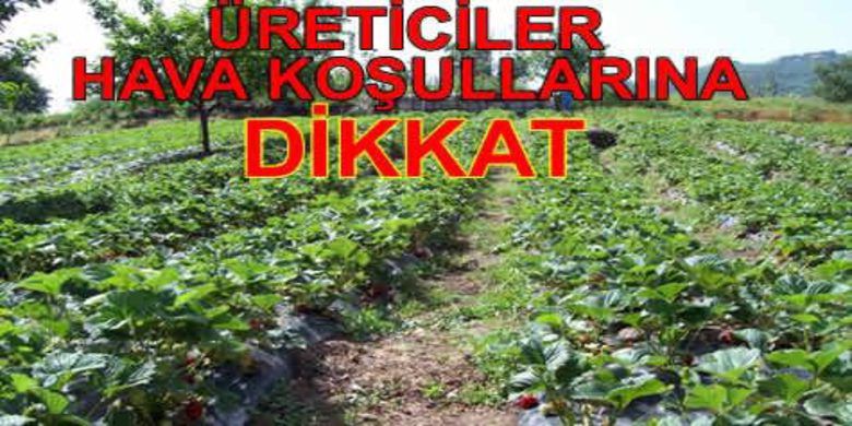 Üreticiler Don Olayına Dikkat - Devlet Meteoroloji İşleri Genel Müdürlüğü, 27-29 Mart tarihleri arasında Karadeniz Bölgesi`nin iç kesimlerinde hafif, yükseklerde ise orta kuvvette zirai don olayı beklendiği uyarısında bulundu.