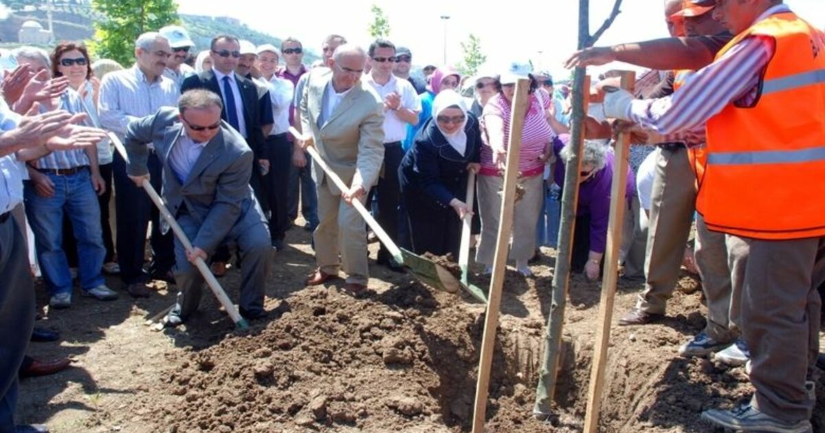 Ak Partililer Çevre Festivali'nde Fidan Dikti Dünya Çevre Haftası Nedeniyle Düzenlenen Çevre Festivali'nde 250 Adet Ağaç Fidanı Toprakla Buluşturuldu