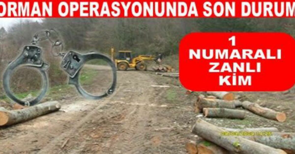 Orman Operasyonunda Son Durum